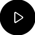 dicksavepleasebot